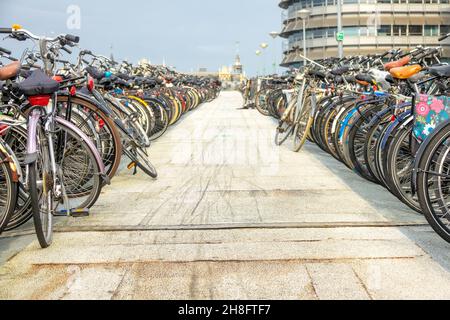 Niederlande. Ein Tag in Amsterdam. Riesiger Fahrradparkplatz in der Nähe des Amsterdamer Hauptbahnhofs Stockfoto