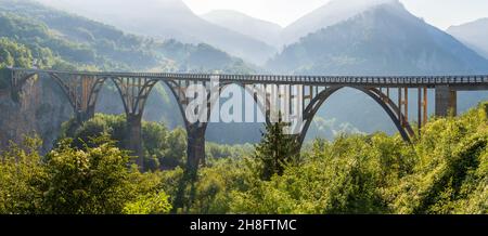 Brücke über den Tara River Canyon im Norden Montenegros. Stockfoto