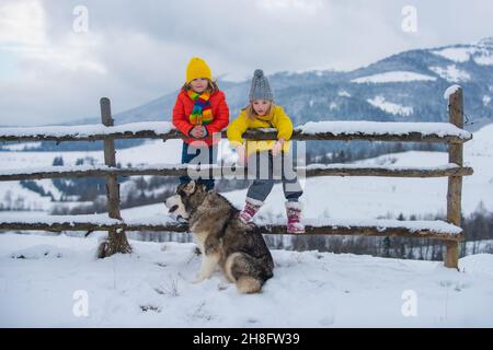 Kleine Mädchen und Jungen genießen den Winter. Kinder spielen draußen Husky Hund im Schnee. Frohe Kindheit. Spaß im Freien für den Weihnachtsurlaub mit der Familie. Stockfoto