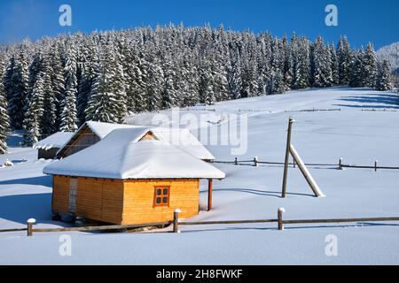Kleines Holzhaus mit frischem Schnee bedeckt, umgeben von hohen Pinien in den Winterbergen. Stockfoto
