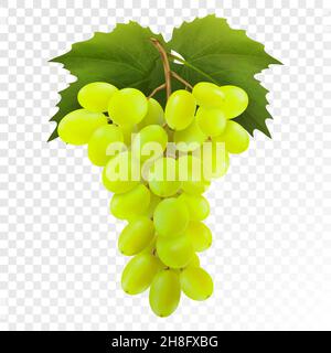 Trauben aus gelben oder grünen Trauben mit Weinblättern isoliert auf transparentem Hintergrund. Traubenhaufen. Realistische, frische, natürliche Lebensmittel, Dessert. 3D vec Stock Vektor