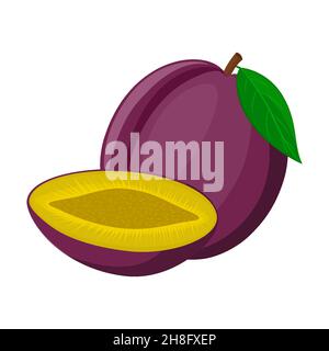 Vektordarstellung „Pflaumen“. Set von ganzen und in Scheiben geschnittenen blauen Pflaumenfrüchten isoliert auf weißem Hintergrund, flaches Design Stock Vektor
