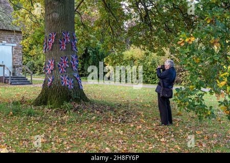 Fotografin, die ein Bild eines Baumes mit Union Jack-Haunting, Village Green, Ashby St Ledgers, Northamptonshire, Großbritannien, macht Stockfoto