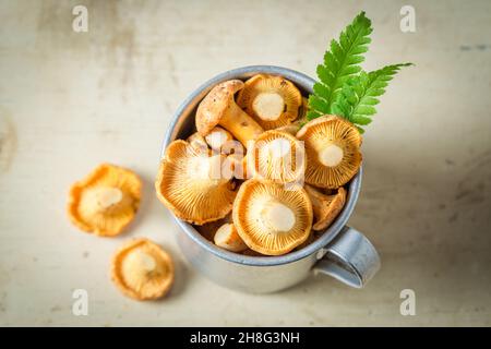 Gesunde Pilze frisch gepflückt. Wilde und frische Pilze. Rustikale Küche. Stockfoto