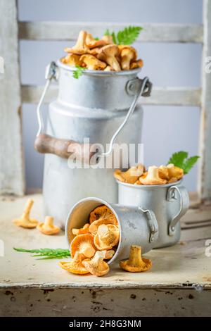 Rohe Pilze frisch gepflückt. Wilde und frische Pilze. Rustikale Küche. Stockfoto