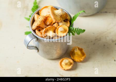 Frische Pilze frisch gepflückt. Edle und gelbe Pilze. Rustikale Küche. Stockfoto