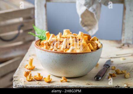 Essbare Pilze frisch gepflückt. Wilde und frische Pilze. Rustikale Küche. Stockfoto