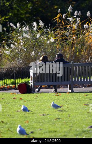 Lond, Großbritannien. 25th. November 2021. Kalt, aber sonnig im St James's Park. Ein Paar auf einer Bank bei den Schilfbetten Stockfoto