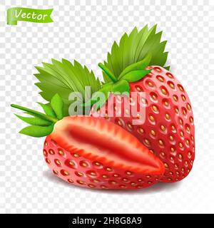 Ganze Erdbeere und halbe Erdbeere in Scheiben geschnitten. Frische rote reife, sanfte Beere auf weißem Hintergrund. Realistische 3D isolierte Vektordarstellung Stock Vektor