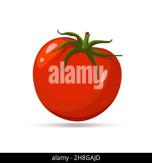 Frische rote Tomaten Gemüse isoliert auf weißem Hintergrund. Tomate Symbol für Markt-, Rezept Design. Ökologische Lebensmittel. Cartoon Flat Style. Vector Illustration Stock Vektor