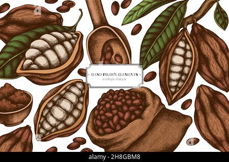Farbige Elemente Design mit Kakaobohnen, Kakao Stock Vektor