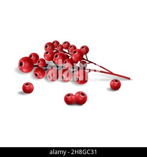 Realistische Zweige mit stechroten Beeren isoliert auf weißem Hintergrund. Weihnachten Hintergrund. Vektor-Illustration für Urlaubsdesigns, Party, Geburtstag Stock Vektor