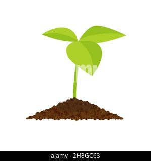 Sprout botanische Vektor-Illustration, isoliert auf einem weißen Hintergrund EPS 10 Stock Vektor