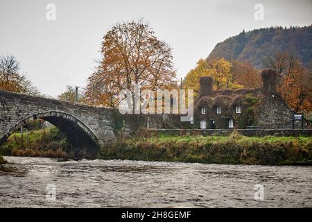 Efeu bedeckt Ferienhaus Haus Teestube bekannt als Ty Hwnt i'r Bont auf der Conwy River in der Nähe von Romanum in Snowdonia, Gwynedd, Nordwales Stockfoto