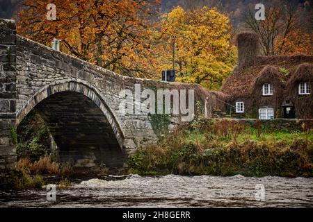 Efeu bedeckt Ferienhaus Haus Teestube bekannt als Ty Hwnt i'r Bont auf der Conwy River in der Nähe von Romanum in Snowdonia, Gwynedd, Nordwales Stockfoto