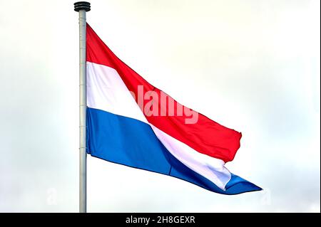 Die Flagge der Niederlande hängt an einem Metallfahnenmast Stockfoto