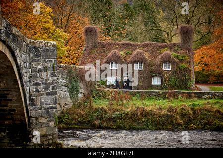 Efeu bedeckt Ferienhaus Haus Teestube bekannt als Ty Hwnt i'r Bont auf der Conwy River in der Nähe von Romanum in Snowdonia, Gwynedd, Nordwales Stockfoto