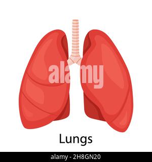 Lungs-Symbol, flacher Stil. Innere Organe des Menschen, Design-Element, Logo. Anatomie, Medizinkonzept. Gesundheitswesen. Isoliert auf weißem Hintergrund. Vecto Stock Vektor