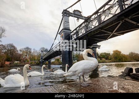 Ferry Bridge, Burton Upon Trent, viktorianische Fußgängerbrücke über den Fluss Trent in Staffordshire, England Stockfoto