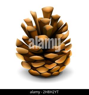 Kiefernkegel mit Schattenvektor realistische Illustration Stock Vektor