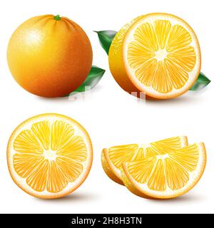 Set aus isolierten farbigen Orange, Halb-, Scheiben-, Kreis- und ganzen saftigen Früchten auf weißem Hintergrund. Realistische Zitruskollektion. Stock Vektor