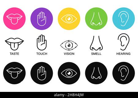 Fünf Sinne des menschlichen Nervensystems Symbolvektor Illustration, einfache Linien Symbole und Farbkreise, Stock Vektor