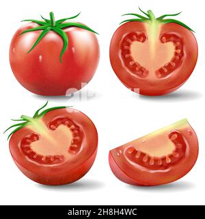 Tomatenset.Eine Reihe von realistischen Illustration reife Tomaten in verschiedenen Schnitten wie ein Schnitt in der Hälfte, in Stück geschnitten, Scheiben, Kreuz geschnitten und Tomatenblatt isolieren Stock Vektor