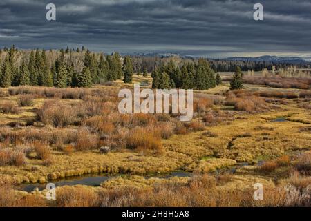 Der verdunkelte Himmel verleiht dem Blick auf die Feuchtwiese auf den Grand Teton National Park in Wyoming Ende Oktober einen Hauch von Sturm Stockfoto