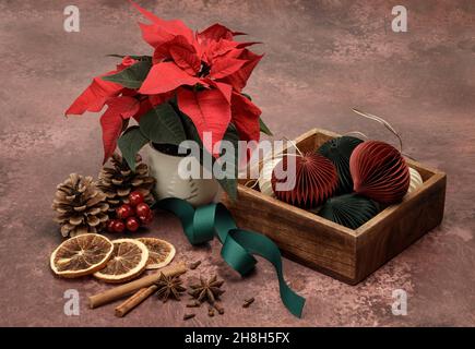 Weihnachtliches Stillleben mit einer roten Poinsettia Stockfoto