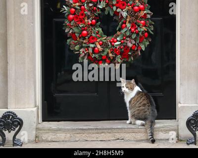 London, Großbritannien. 30th. November 2021. Larry, die Katze, sitzt vor der Haustür von No 10. Quelle: Uwe Deffner/Alamy Live News Stockfoto