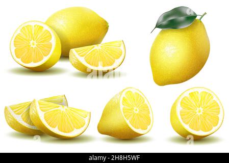 Zitrone. Realistische Zitrone mit grünem Blatt ganz und in Scheiben geschnitten, saure frische Früchte, hellgelbe Schale, Satz Zitronen Vektor-Illustration isoliert auf weiß Stock Vektor