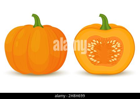 Kürbis-Symbole, ganz und halb mit Samen innen. Vektorgrafik, flache Cartoon-Stil. Stock Vektor