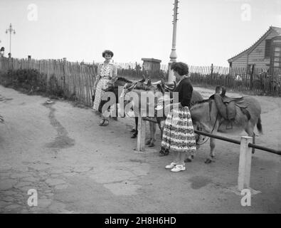 1950s, historisch, sommerlich und am Meer, zwei Damen, Ende der dreißiger Jahre alt und mit den langen, mit Blumen gemusterten Kleidern der Zeit, neben einigen Eseln stehend, England, Großbritannien. Eselreiten für Kinder war seit Generationen ein traditioneller Teil eines britischen Badeurlaubs und blieb in dieser Zeit eine beliebte Aktivität. Stockfoto