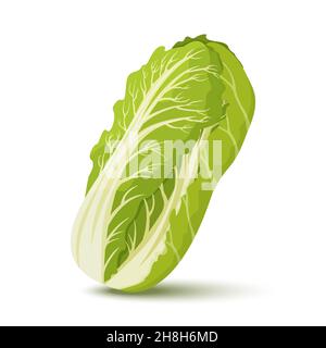 Frischer Chinakohl. Gesunde Ernährung. Bio-Zutat für vegetarischen Salat. Flacher Vektor für Promo-Poster des Lebensmittelladens Stock Vektor