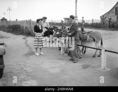 1950s, historisch, sommerlich und an der britischen Küste, zwei Damen, Ende 30 Jahre alt und in den langen, mit Blumen gemusterten Kleidern der Zeit, neben einigen Eseln stehend, im Gespräch mit ihrem männlichen Besitzer, England, Großbritannien. Eselreiten für Kinder sind seit Generationen ein traditioneller Teil eines britischen Badeurlaubs. Stockfoto