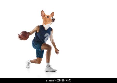 Zeitgenössische Kunst, konzeptuelle Collage. Junger Mann, professioneller Basketballspieler mit Hundekopf. Surrealismus Stockfoto