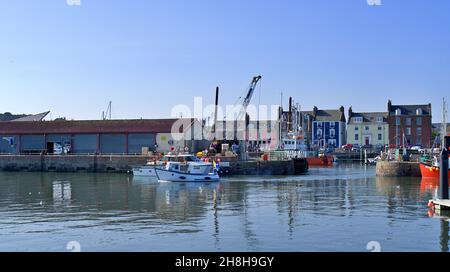 Boote und Schiffe im Hafen von Arbroath im August 2021 Stockfoto