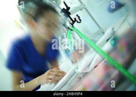 Ärztin, die mit dem Baby auf der Neugeborenen-Intensivstation arbeitet. Stockfoto