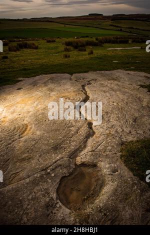 Neolithische Felskunst auf Chatton Park Hill in Northumberland, Großbritannien Stockfoto