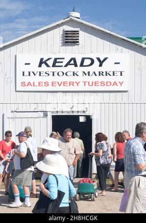 Keady Livestock Market in Ontario, Kanada Stockfoto