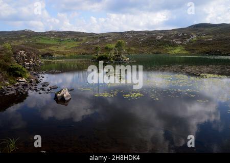 Reflections in Dock Tarn nahe dem Gipfel des Wainwright 'Grange Fell' in Borrowdale, Lake District National Park, Cumbria, England, Großbritannien. Stockfoto