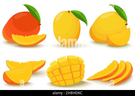 Mango. Ganz und Teile. Heller Vektor-Satz aus farbenfroher halb-, Scheiben- und ganzer Mango. Frische Cartoon exotische Früchte isoliert auf weißem Hintergrund. Stock Vektor