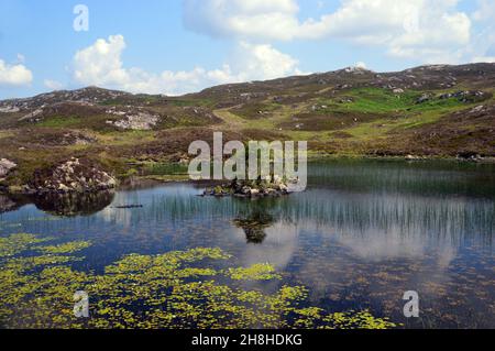 Reflections in Dock Tarn nahe dem Gipfel des Wainwright 'Grange Fell' in Borrowdale, Lake District National Park, Cumbria, England, Großbritannien. Stockfoto