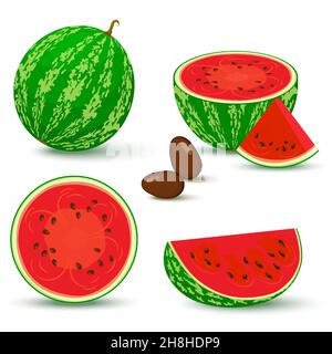 Wassermelonenvektor. Heller Vektor-Satz von halber, ganzer Scheibe geschnittener Wassermelone auf weißem Hintergrund isoliert. Vektorgrafik. Stock Vektor