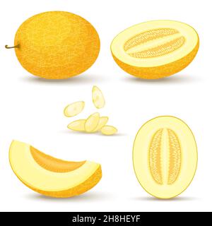 Melonenvektorsatz. Ganz, geschnitten, die Hälfte eines gelben Muschbuzz, isoliert auf weißem Hintergrund. Vektorgrafik. Cantaloupe. Stock Vektor