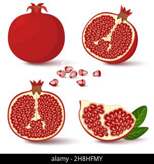 Vector Granat. Ganze, halbe und Granatapfelkerne isoliert auf weißem Hintergrund. Illustration im Cartoon-Stil. Stock Vektor
