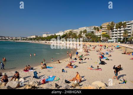 Frankreich, Alpes-Maritimes (06), Cannes, Croisette-Promenade mit Palmen und Pinien, Zamenhof öffentlicher Strand Stockfoto