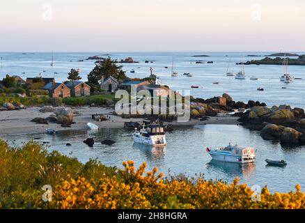 Frankreich, Manche, Chausey Islands, Weiler Blainvillais Stockfoto