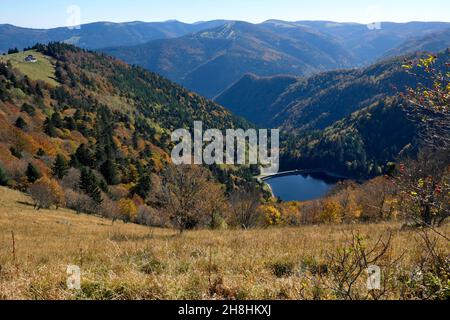 Frankreich, Haut Rhin, Hautes Vosges, Under Le Hohneck, Lac du Schiessrothried, Schiessroth Bauernhaus Stockfoto