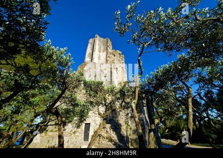 Frankreich, Turm Gard, Nimes, Tour Magne, Gallo-romanischen in den "Jardins De La Fontaine" ((Fountain Gardens) Stockfoto